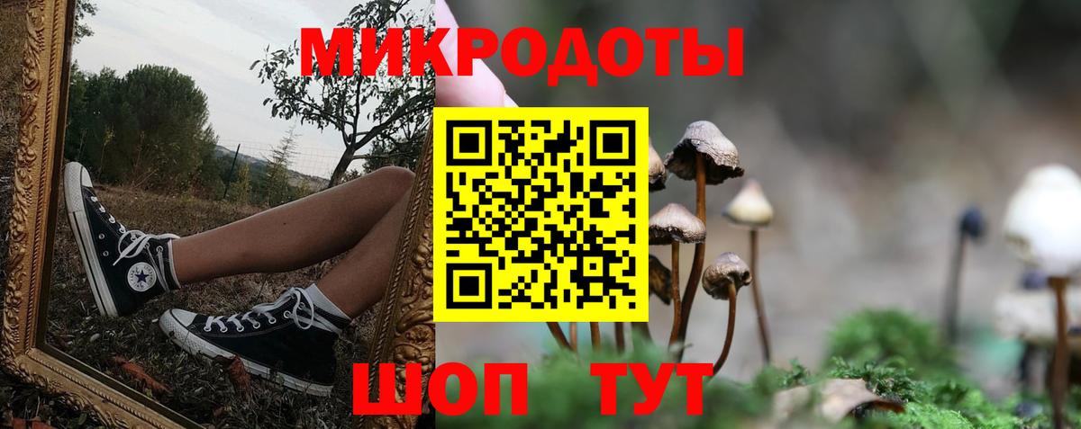 Псилоцибиновые грибы мухоморы Ивантеевка