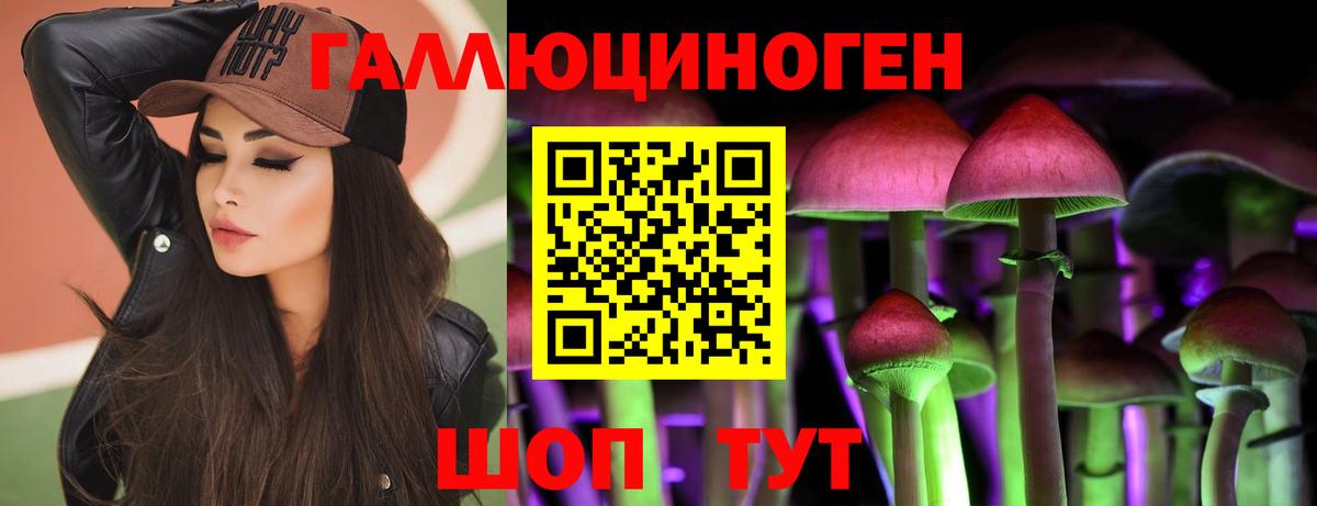 Ивантеевка  Псилоцибиновые грибы GOLDEN TEACHER  Вход с VPN 